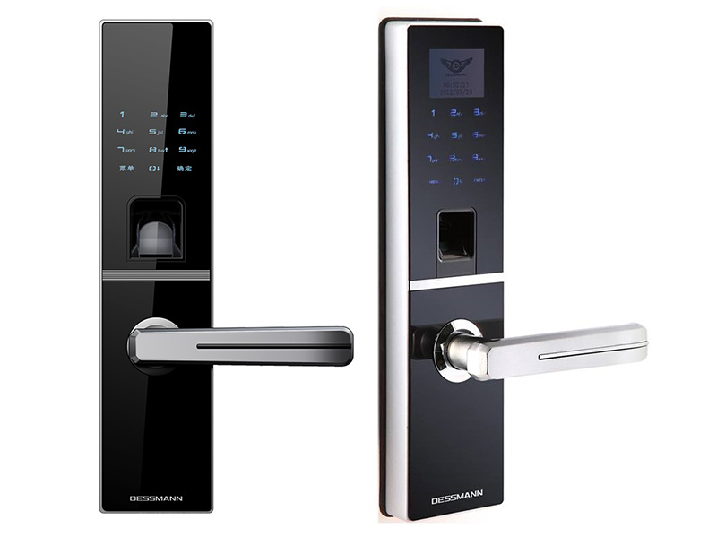 Dessmann G800FP - ảnh 1