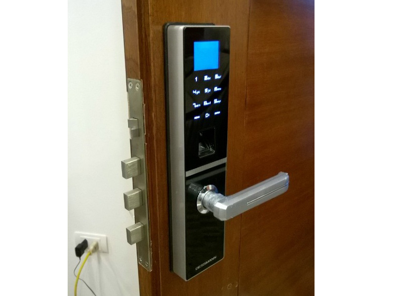 Dessmann G800FP- ảnh 12