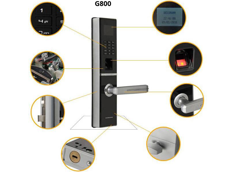 Dessmann G800FP - ảnh 2