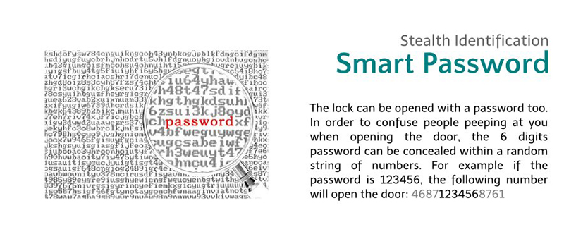 Dessmann S510 - ảnh 7