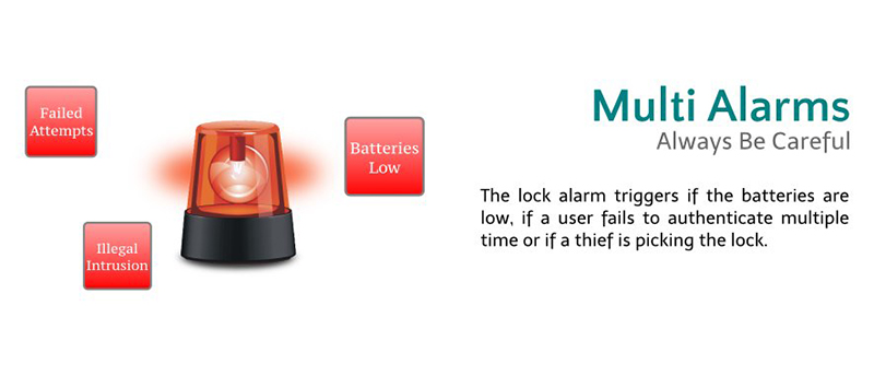 Dessmann S510 - ảnh 9