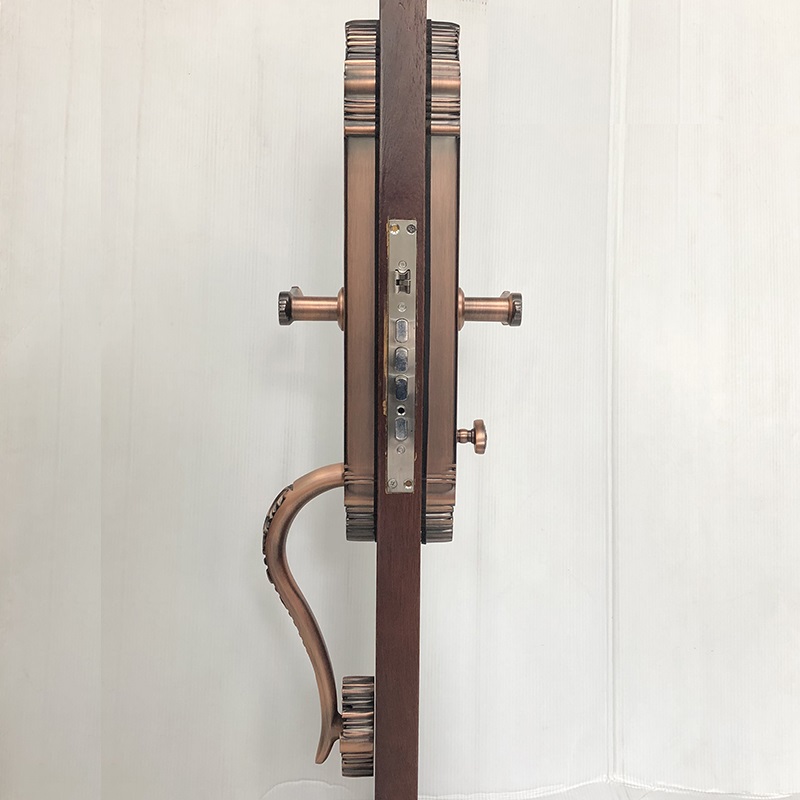 Khóa cửa đại sảnh vân tay điện tử S65L-RG - ảnh 3