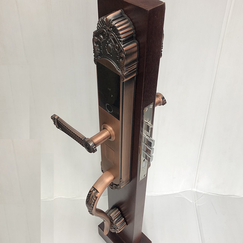 Khóa cửa đại sảnh vân tay điện tử S65L-RG - ảnh 5