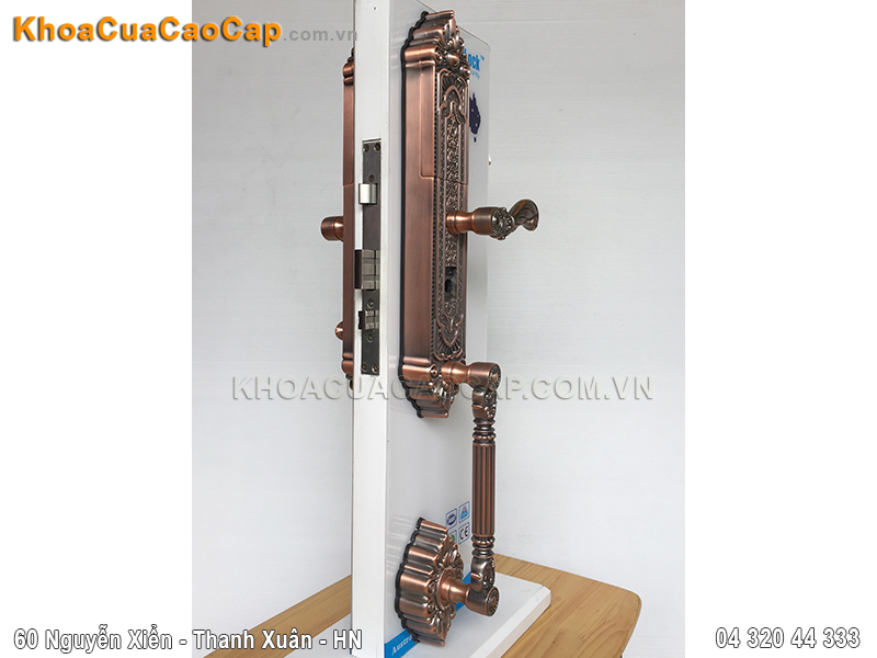 Khóa cửa vân tay cao cấp FP8080 - ảnh 1