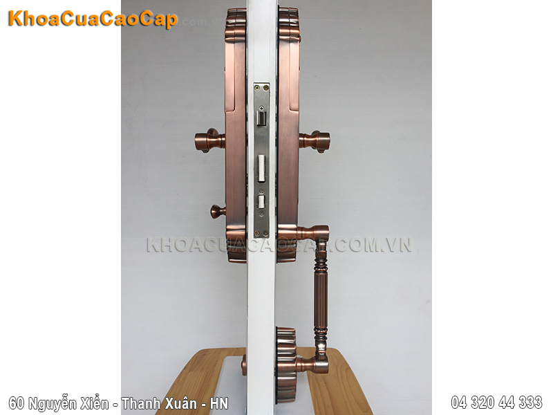 Khóa cửa vân tay cao cấp FP8080 - ảnh 2