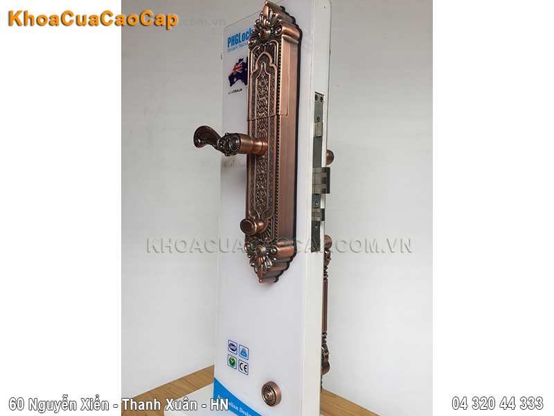 Khóa cửa vân tay cao cấp FP8080 - ảnh 3