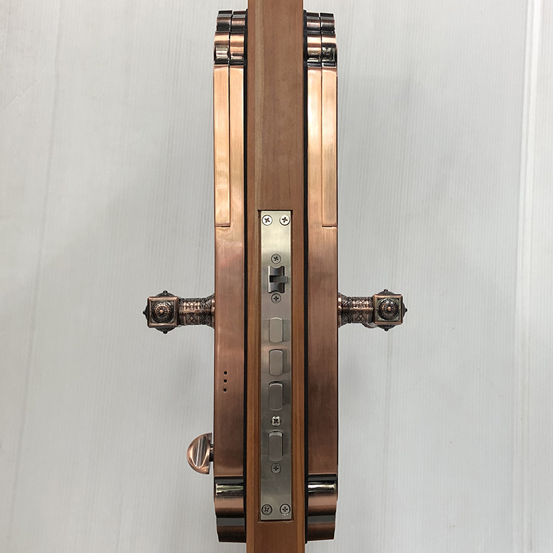 Khóa cửa vân tay cổ điển S63RG - ảnh 2