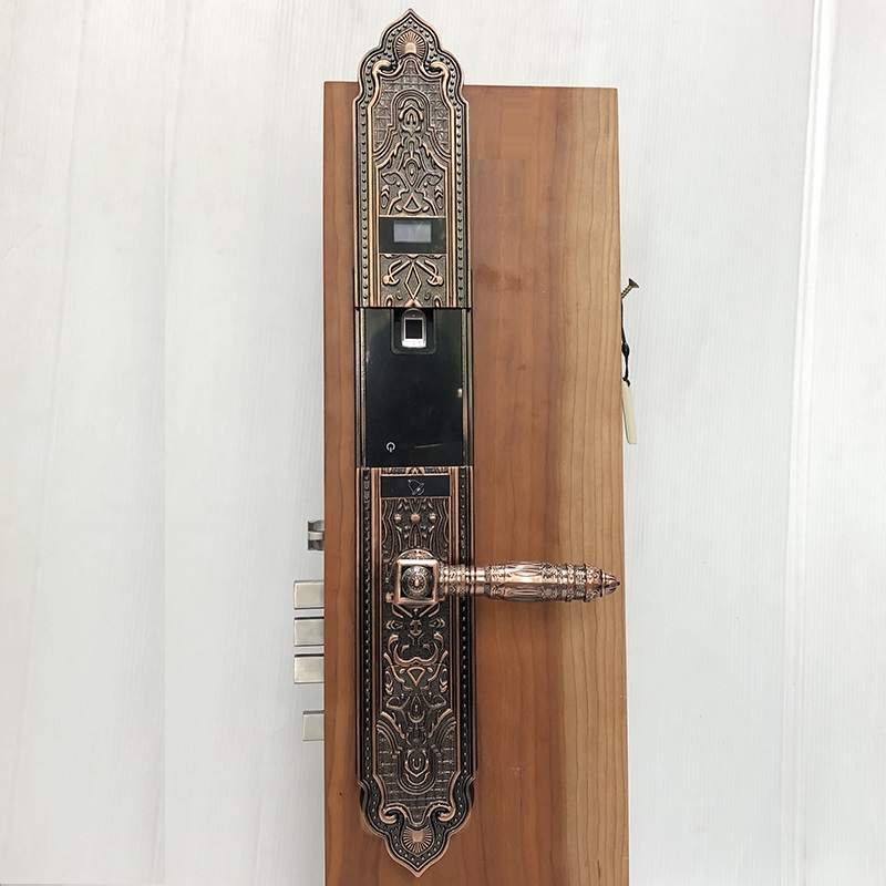 Khóa cửa vân tay cổ điển S63RG - ảnh 4