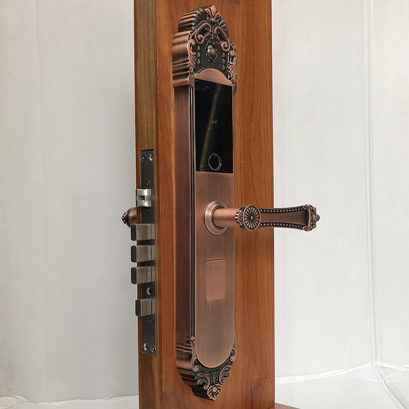 Khóa cửa vân tay đại sảnh S005-RG - ảnh 1