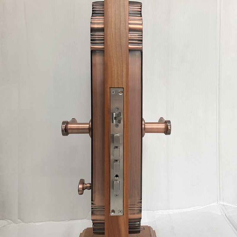 Khóa cửa vân tay đại sảnh S005-RG - ảnh 3