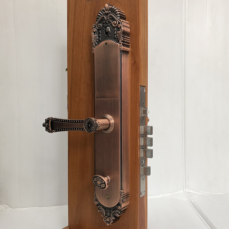 Khóa cửa vân tay đại sảnh S005-RG - ảnh 4