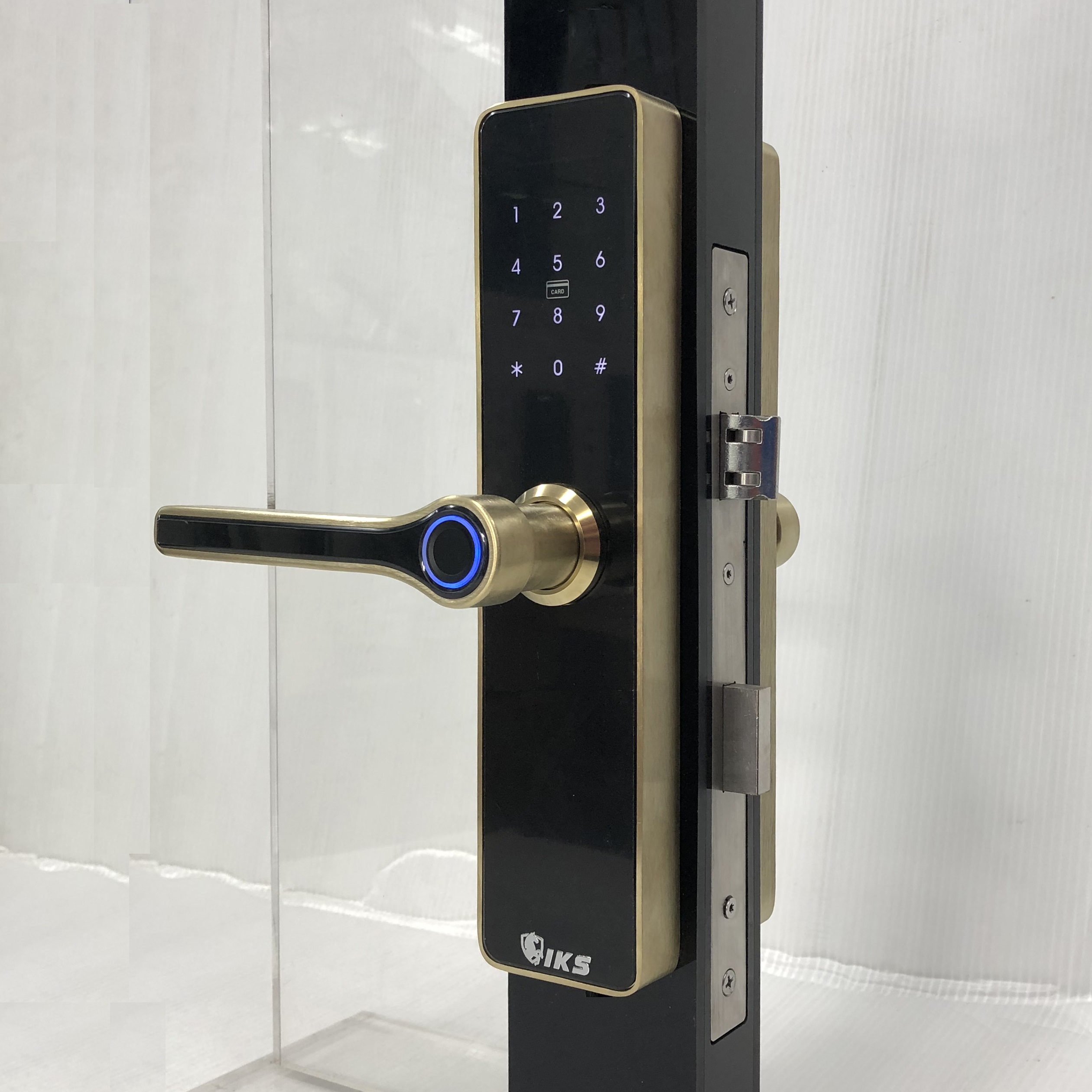 Khóa vân tay mã số thẻ từ IKS 5800V- ảnh 7