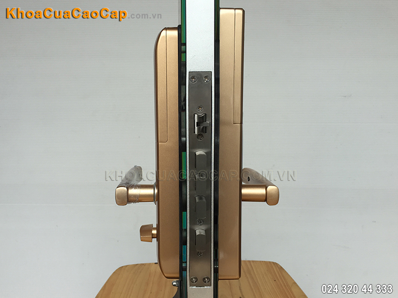 Khóa vân tay mã số Dessmann S510 - ảnh 3