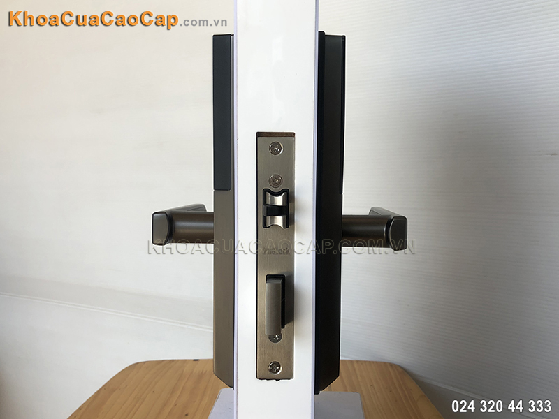 Khóa cửa vân tay mã số thẻ từ FP6021 - ảnh 2