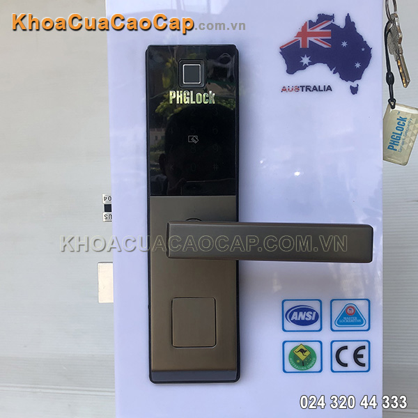 Khóa cửa vân tay mã số thẻ từ FP-6021