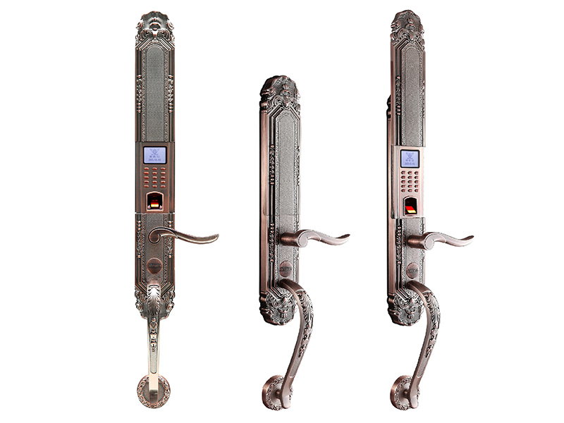 Khóa cửa vân tay nhập khẩu Đức Dessmann Classic K5 - ảnh 1