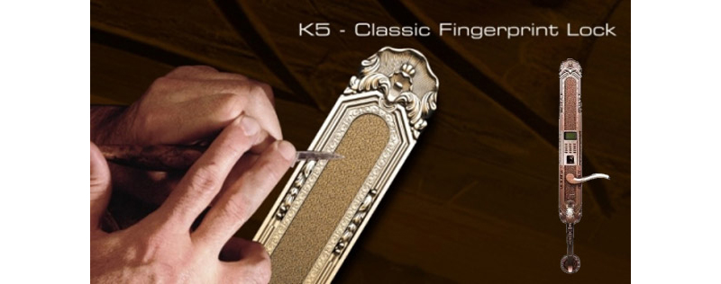 Khóa cửa vân tay nhập khẩu Đức Dessmann Classic K5 - ảnh 4