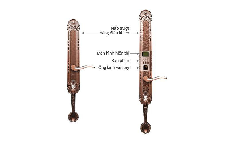 Khóa cửa vân tay nhập khẩu Đức Dessmann Classic K5 - ảnh 5