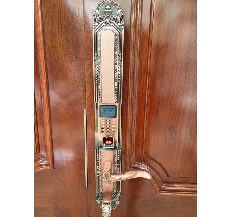 Khóa cửa vân tay nhập khẩu Đức Dessmann Classic K5 - ảnh 7