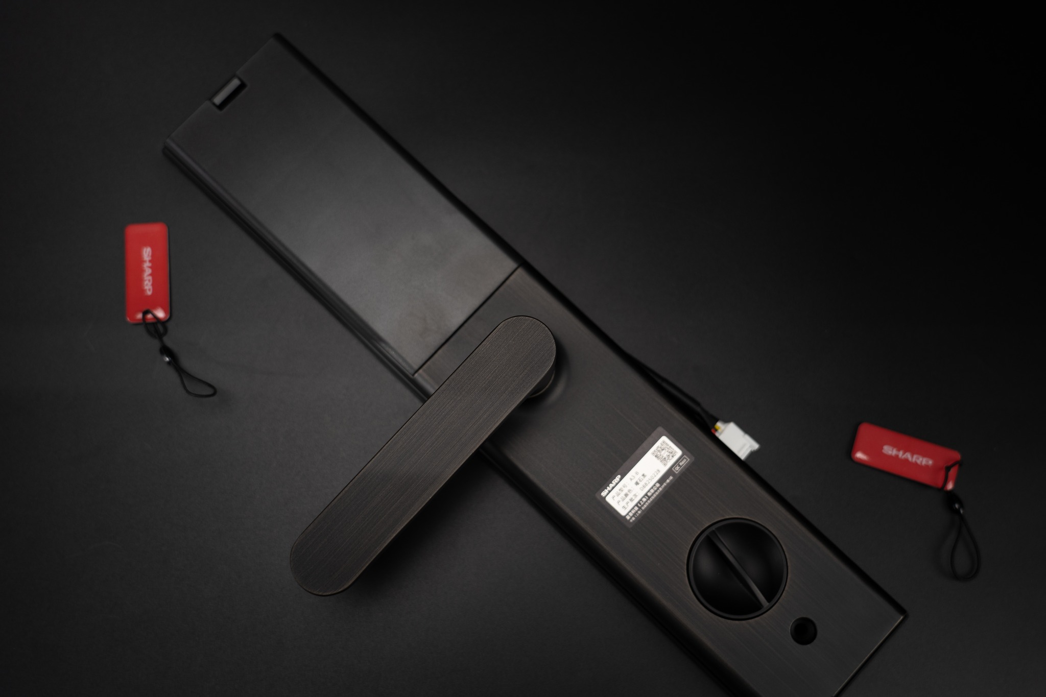 Khóa cửa vân tay Sharp A3-B - ảnh 6