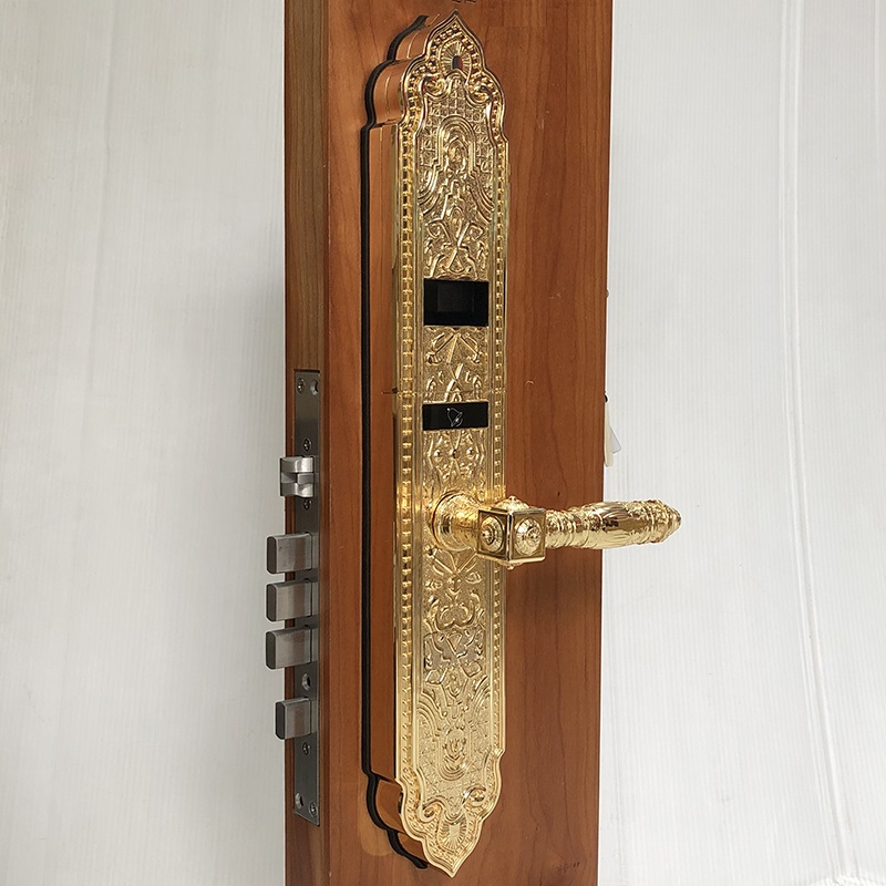 Khóa cửa vân tay cổ điển S63PVD - ảnh 1