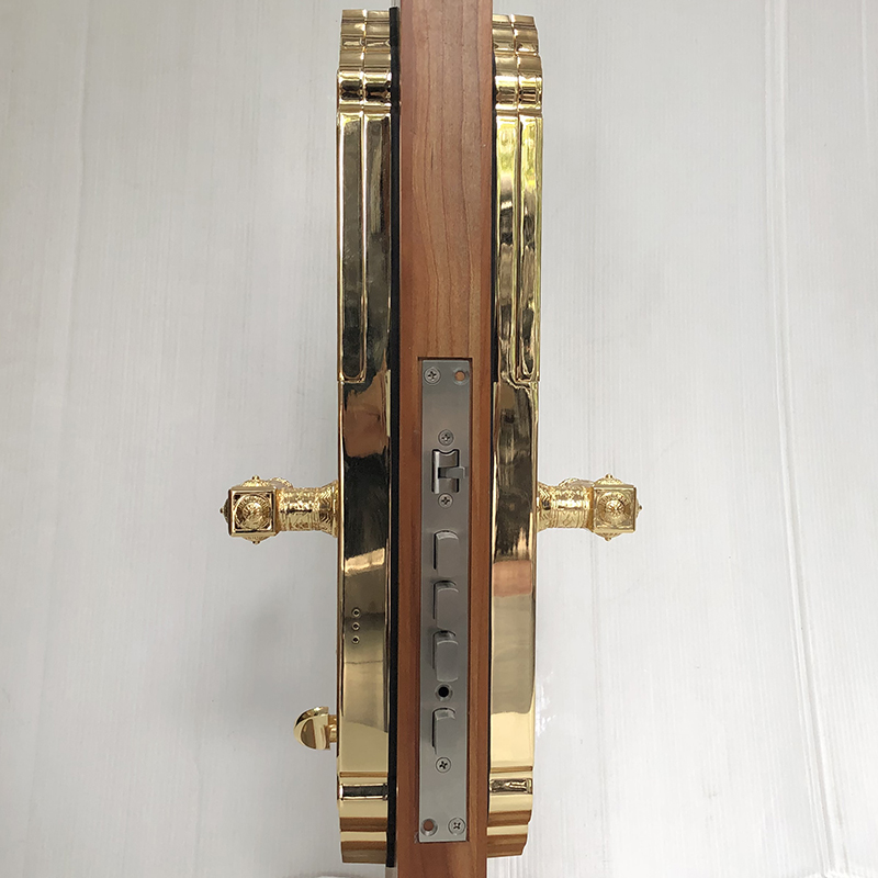 Khóa cửa vân tay cổ điển S63PVD - ảnh 2