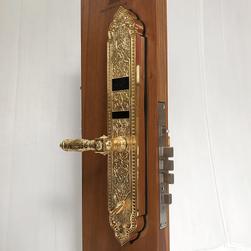 Khóa cửa vân tay cổ điển S63PVD - ảnh 3