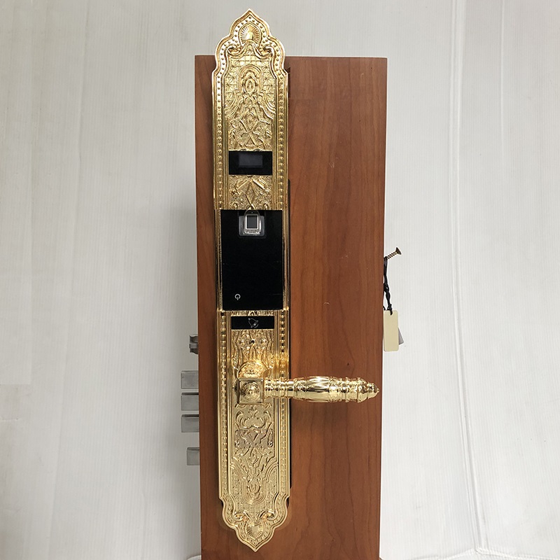 Khóa cửa vân tay cổ điển S63PVD - ảnh 4