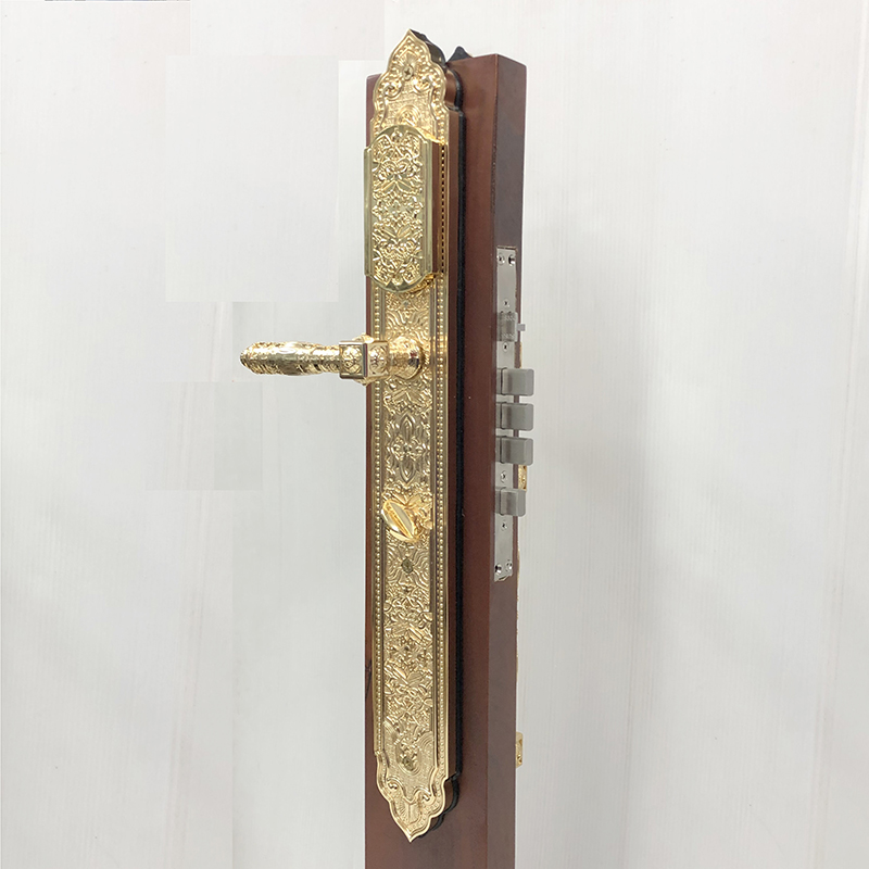 Khóa vân tay cửa đại sảnh A700- ảnh 2