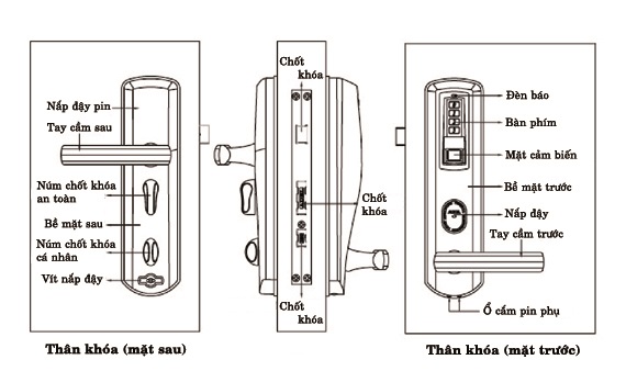 Khóa vân tay Adel 8908 - ảnh 4