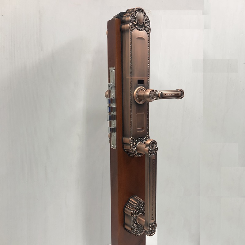 Khóa cửa đại sảnh vân tay điện tử L63-RG - ảnh 1