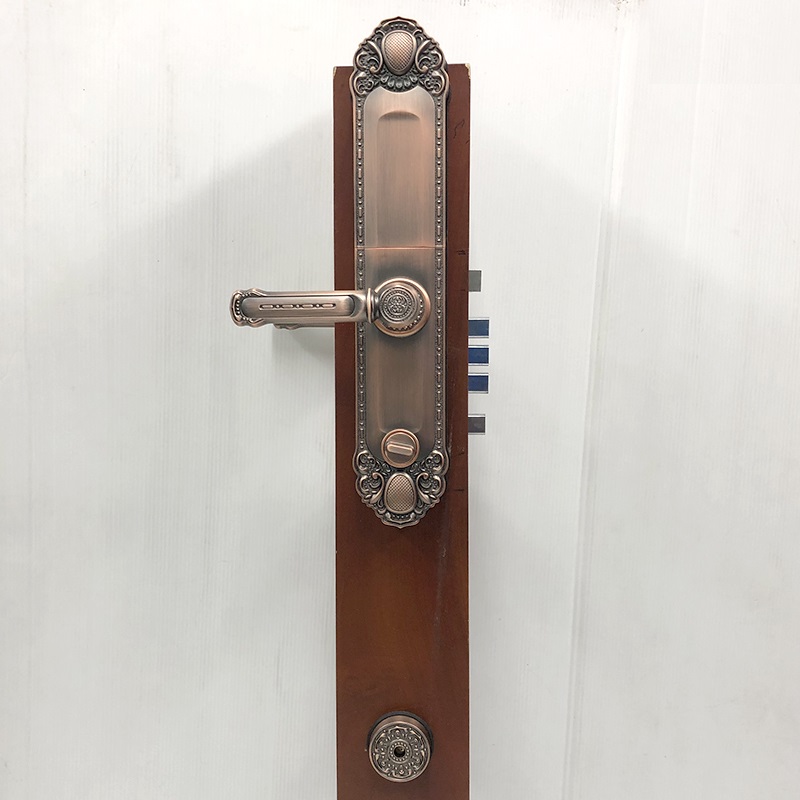 Khóa cửa đại sảnh vân tay điện tử L63-RG - ảnh 3