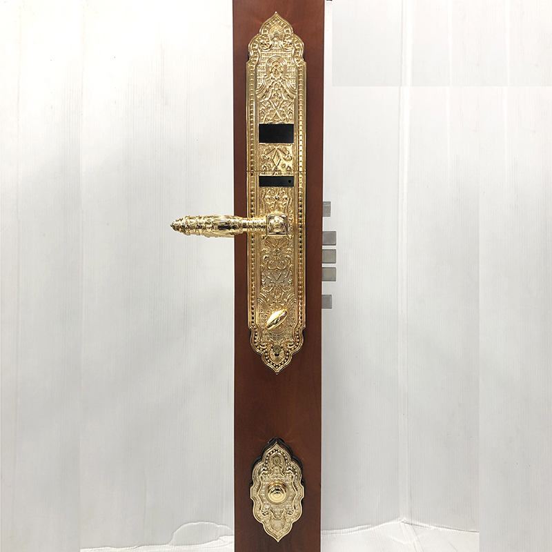 Khóa vân tay cửa đại sảnh L1108PVD - ảnh 2