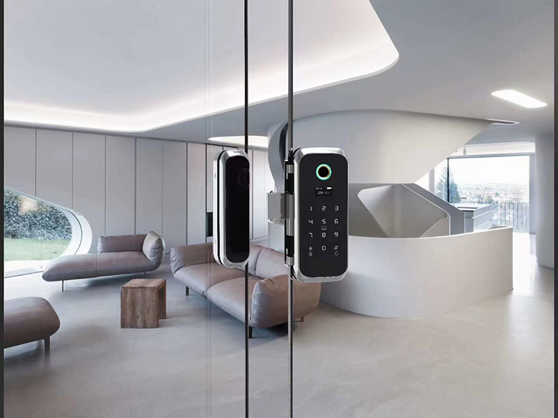 Khóa vân tay cửa kính Goodum D32W-A - ảnh 1