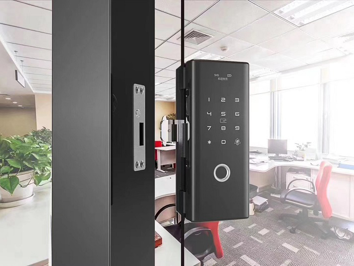 Khóa vân tay cửa kính Lizman G4 - ảnh 1