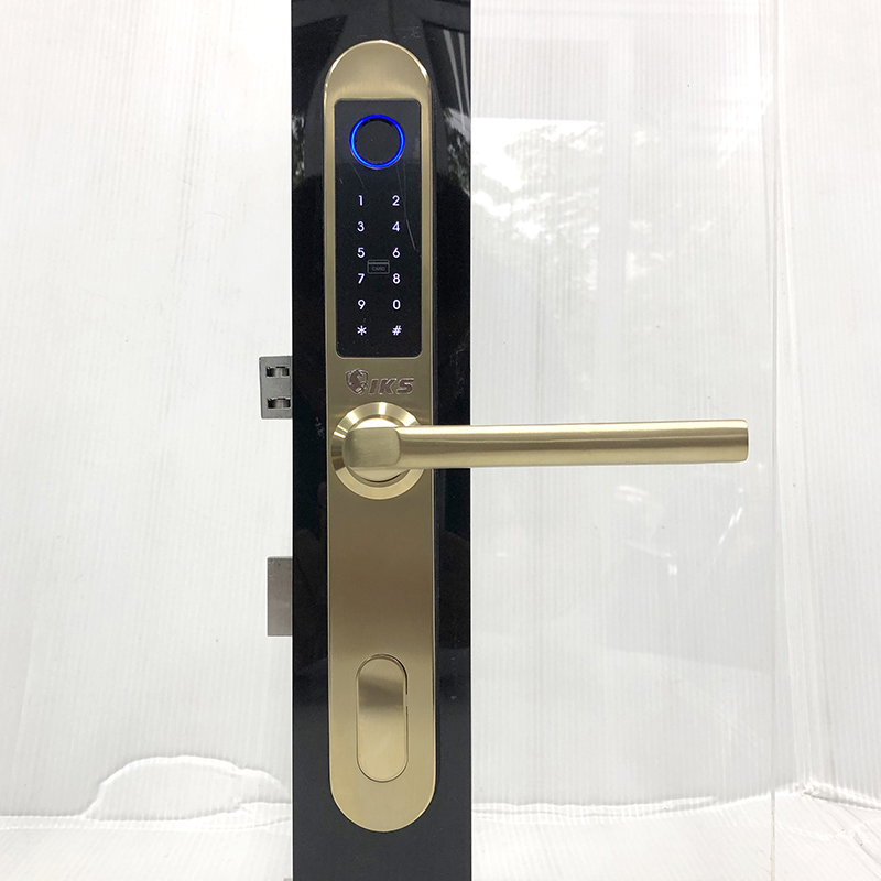 Khóa vân tay cửa nhôm E69V - ảnh 1