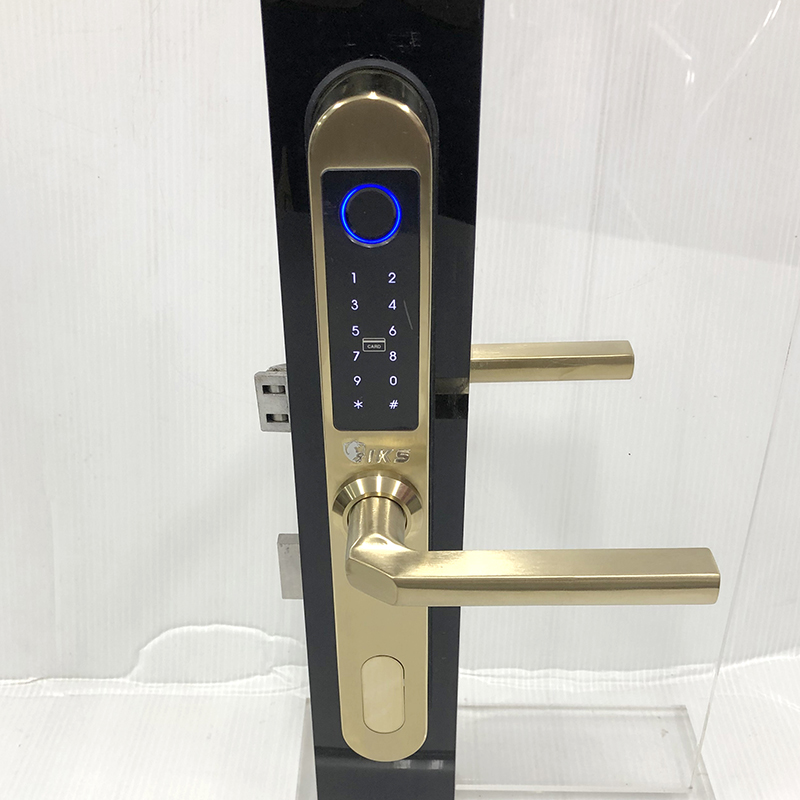 Khóa vân tay cửa nhôm E69V - ảnh 2