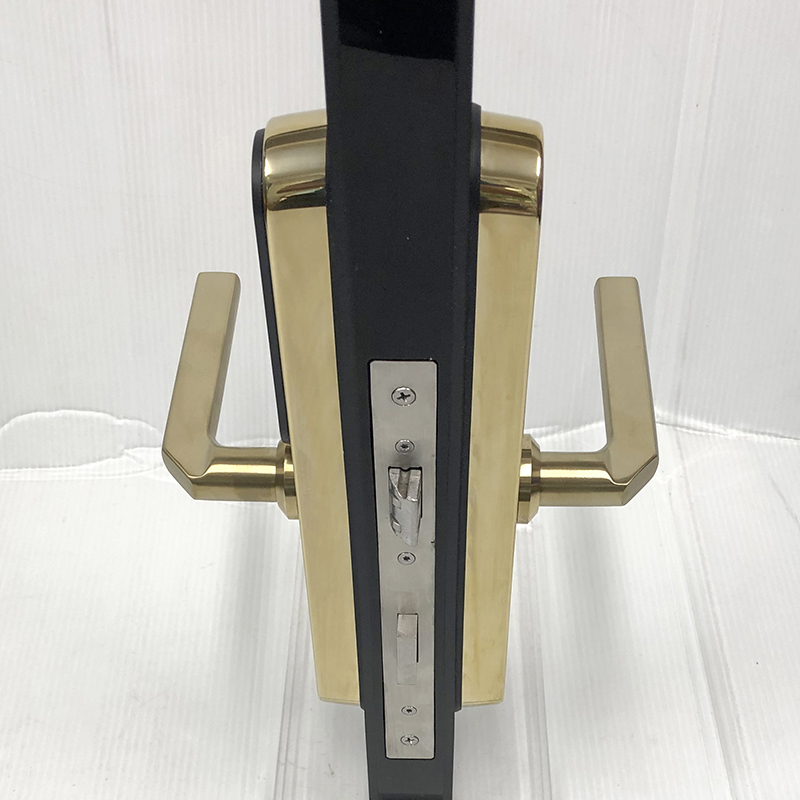 Khóa vân tay cửa nhôm E69V - ảnh 3