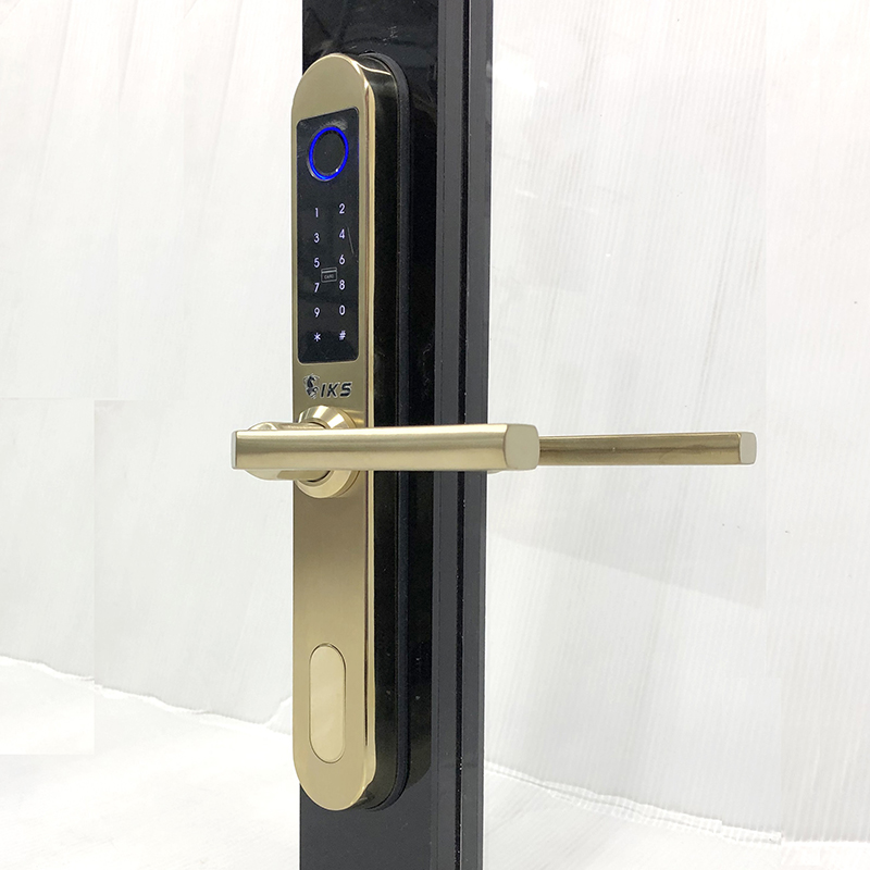 Khóa vân tay cửa nhôm E69V - ảnh 5