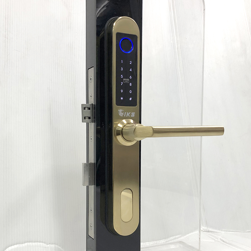 Khóa vân tay cửa nhôm IKS E69-V