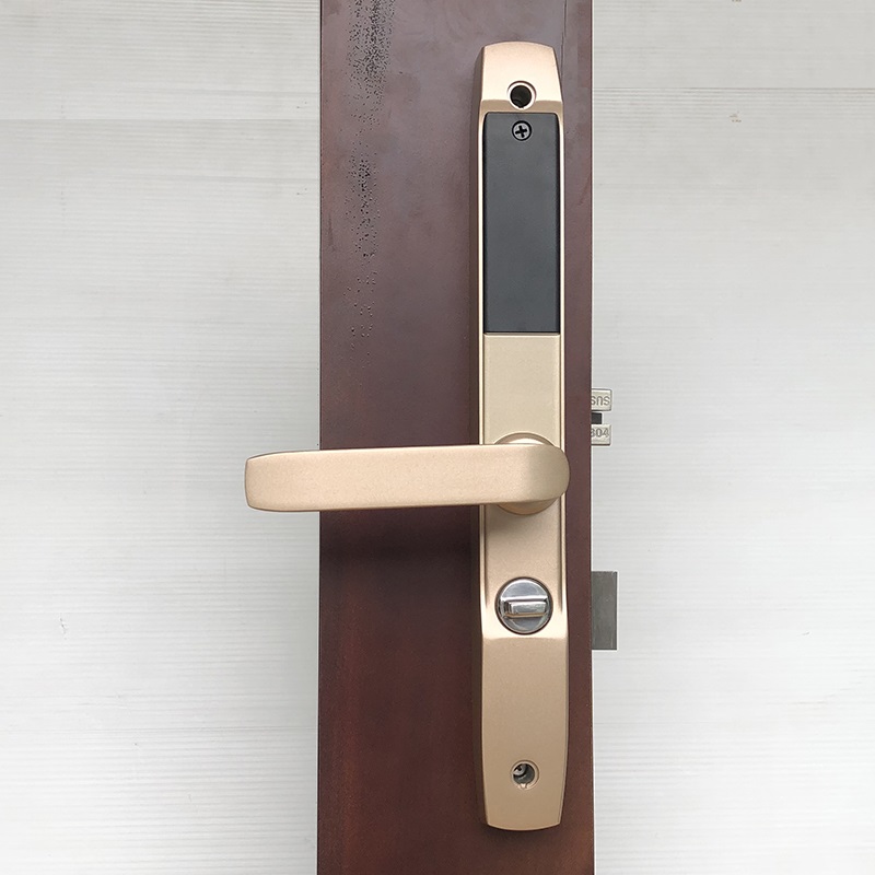 Khóa vân tay cửa nhôm IKS-JX01S - ảnh 4