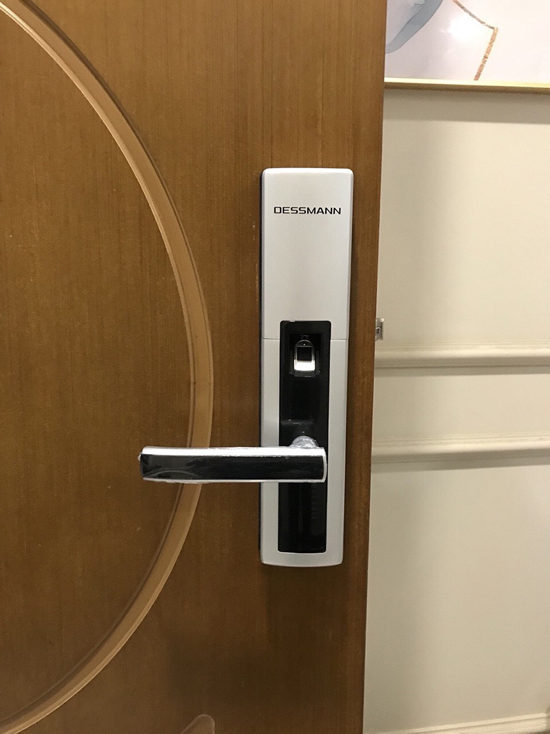 Lắp đặt Dessmann S510-II - ảnh 1