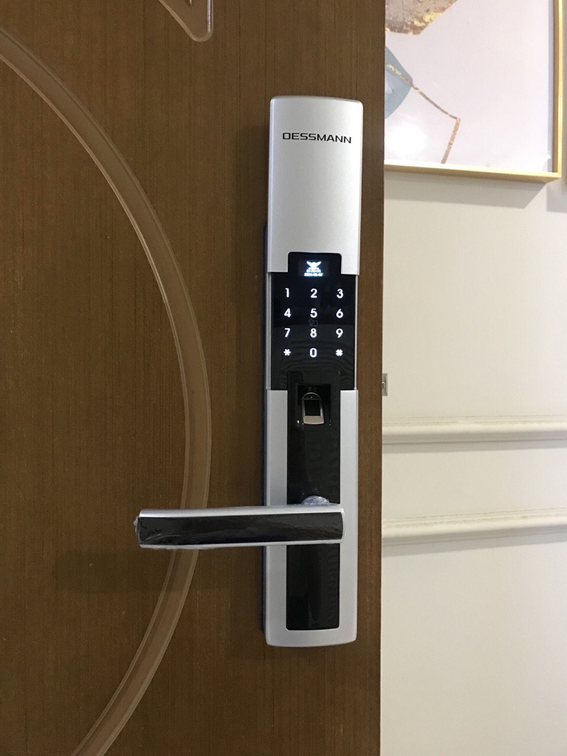 Lắp đặt Dessmann S510-II - ảnh 1