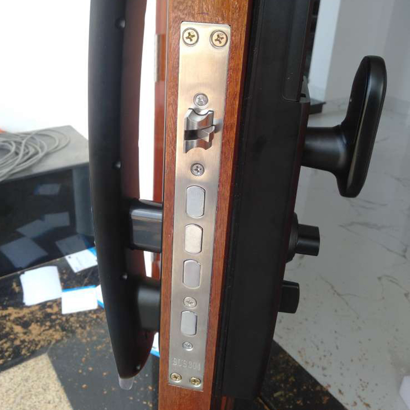 Khóa cửa vân tay mã số thẻ từ FP6060 - ảnh 5