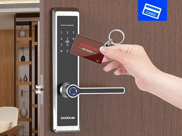 Khóa vân tay mã số thẻ từ Goodum H6800T- ảnh 4