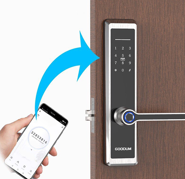 Khóa vân tay mã số thẻ từ Goodum H6800T- ảnh 5