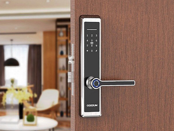 Khóa vân tay mã số thẻ từ Goodum H6800T- ảnh 7