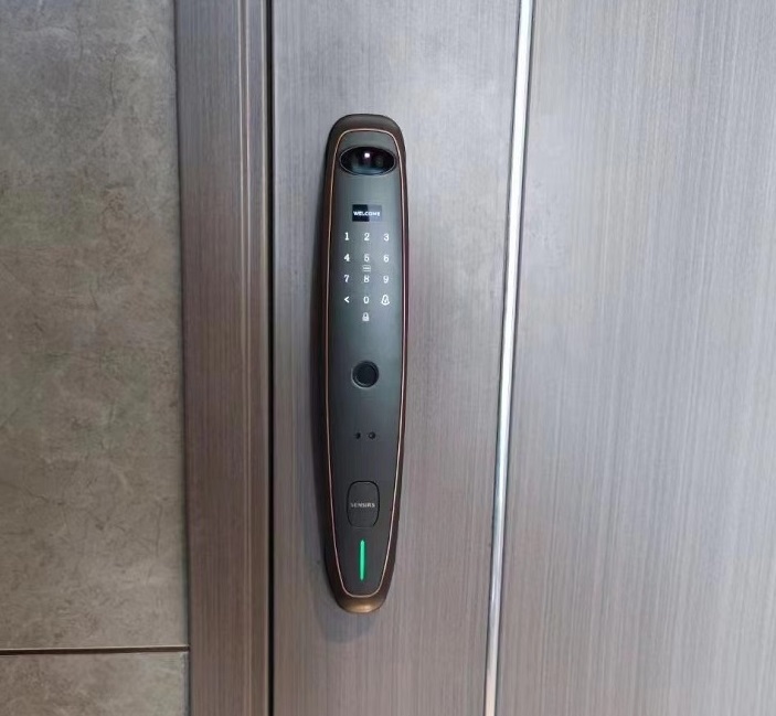 Khóa vân tay nhận diện khuôn mặt Lizman K22-pro - ảnh 6