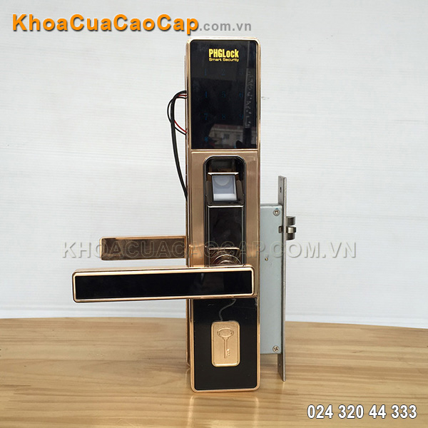 Kh&oacute;a v&acirc;n tay nhập khẩu FP8012