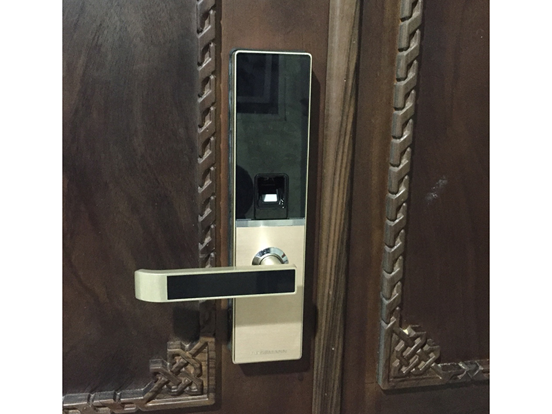 Khóa cửa vân tay Dessmann G810-FP- ảnh 11